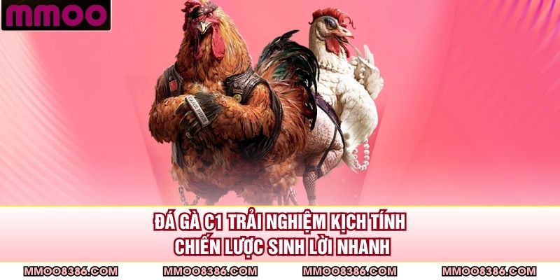 Đá Gà C1 - Trải Nghiệm Kịch Tính, Chiến Lược Sinh Lời Nhanh