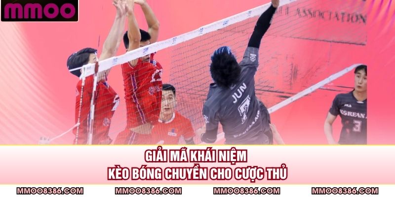 Giải mã khái niệm kèo bóng chuyền cho cược thủ
