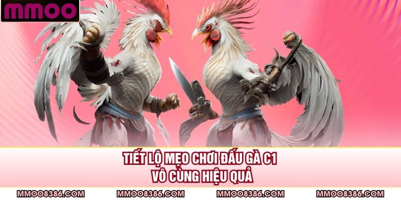 Tiết lộ mẹo chơi đấu gà C1 vô cùng hiệu quả