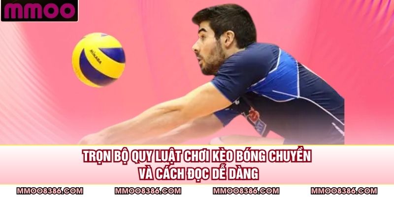 Trọn bộ quy luật chơi kèo bóng chuyền và cách đọc dễ dàng